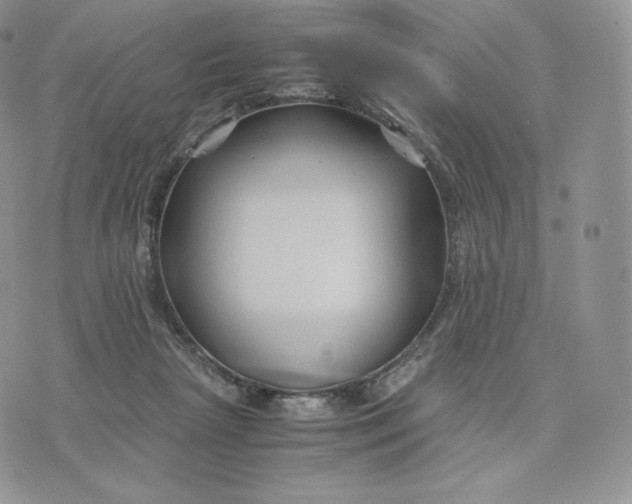 X0000075410265200609291714