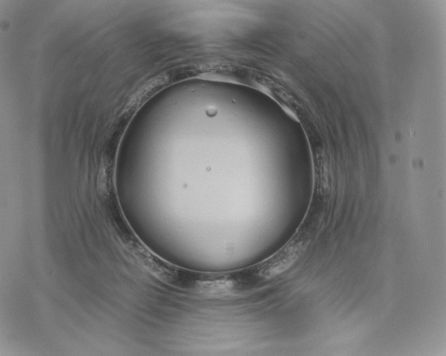 X0000075410266200609291714