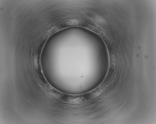 X0000075410267200609291714