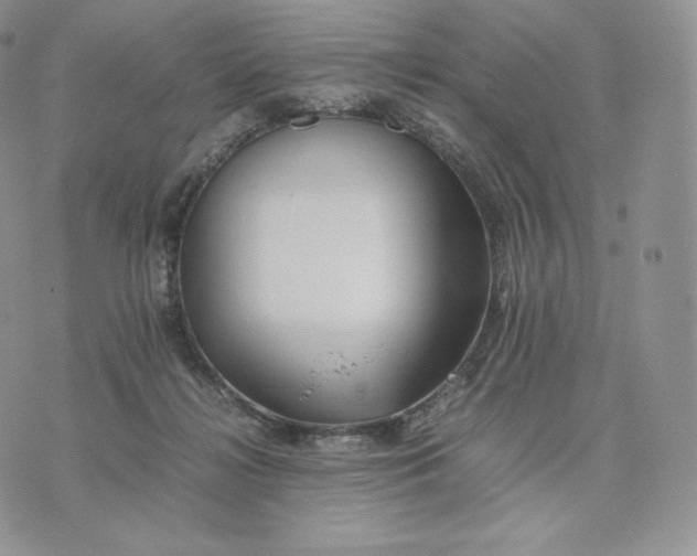 X0000075410268200609291714