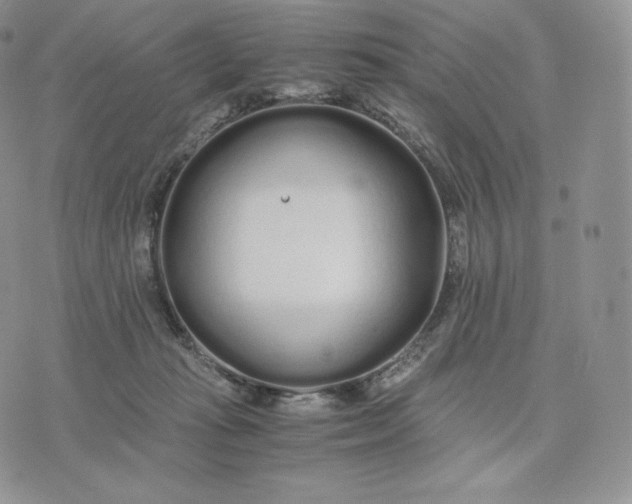 X0000075410269200609291714