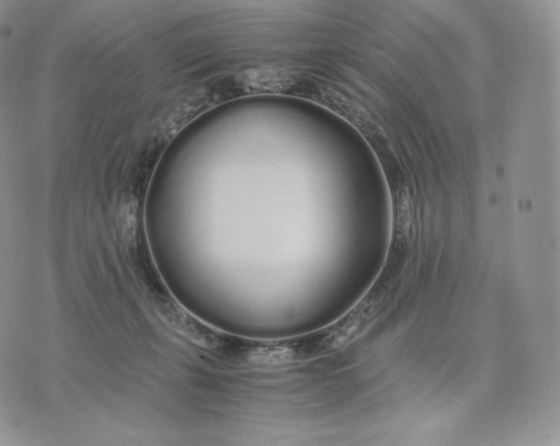 X0000075410271200609291714