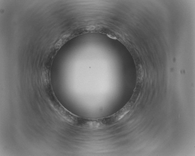 X0000075410272200609291714