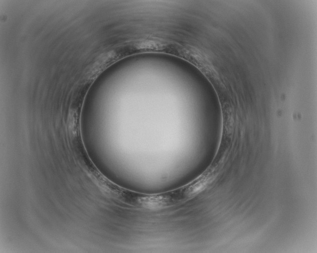 X0000075410273200609291714