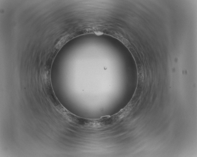 X0000075410276200609291714