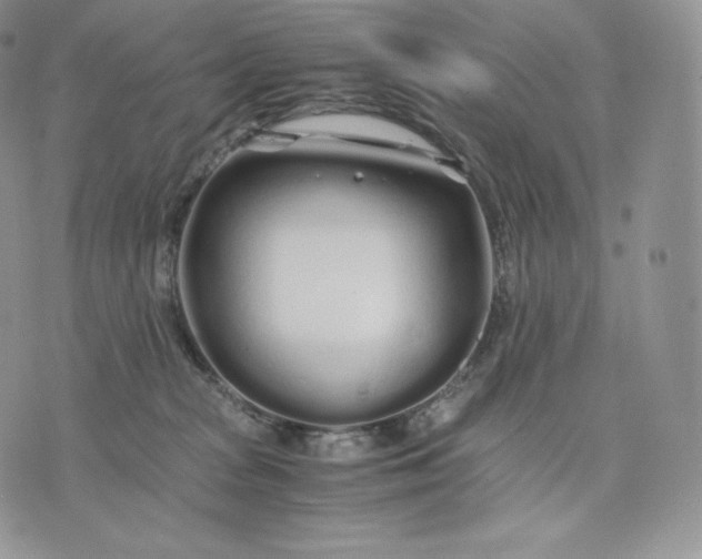 X0000075410277200609291714