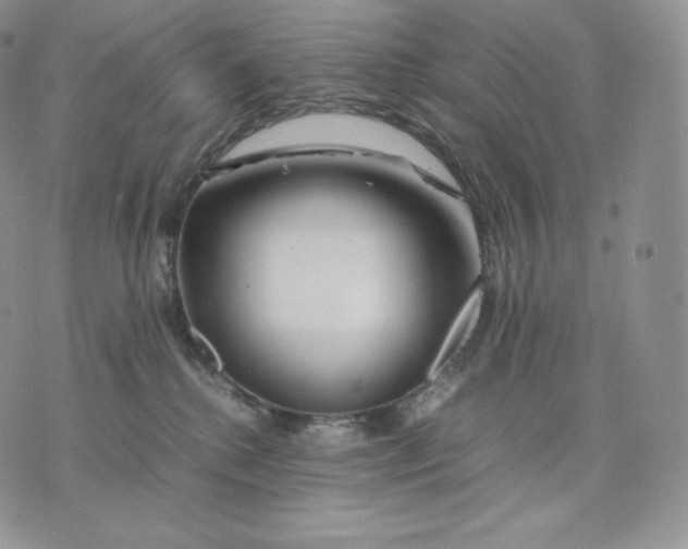 X0000075410280200609291714