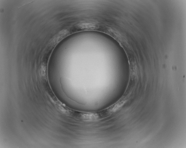 X0000075410281200609291714