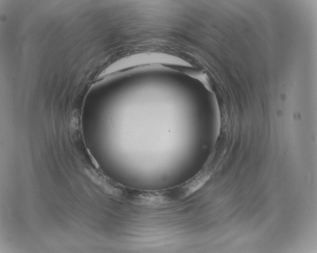 X0000075410284200609291714