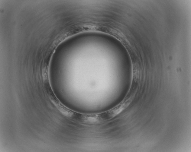 X0000075410285200609291714