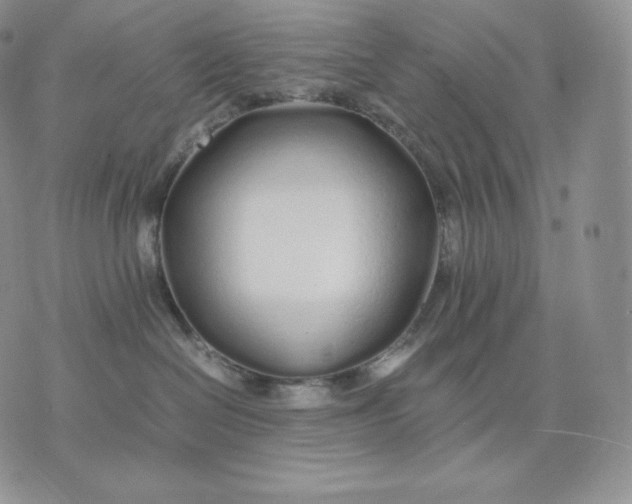 X0000075410286200609291714