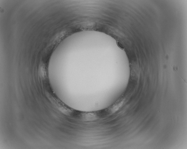 X0000075410287200609291714