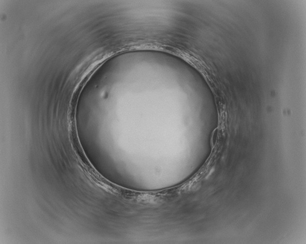 X0000075410290200609291713