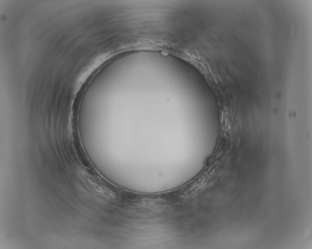 X0000075410292200609291713