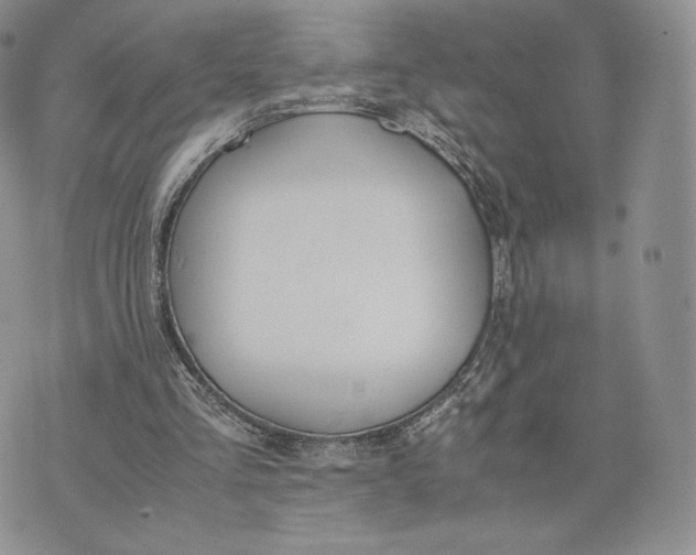 X0000075410293200609291713