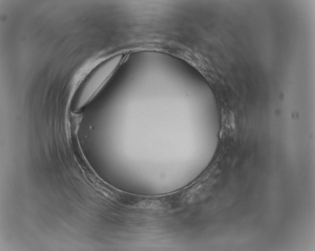 X0000075410294200609291713