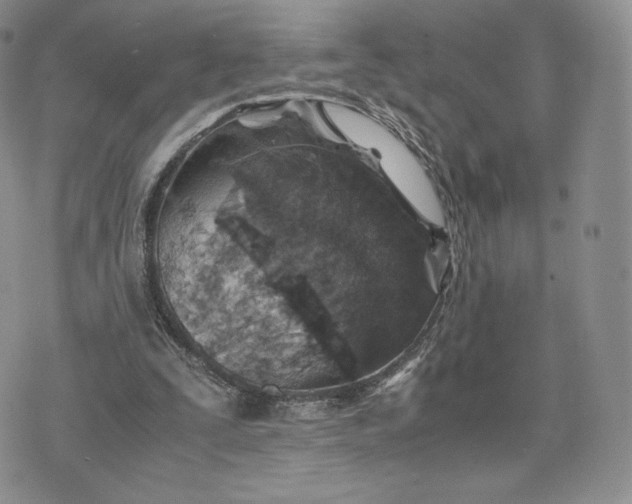 X0000075410295200609291713