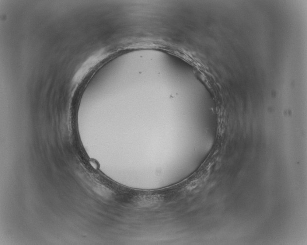 X0000075410296200609291713