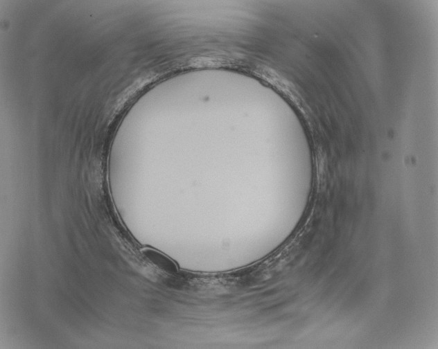 X0000075410297200609291713