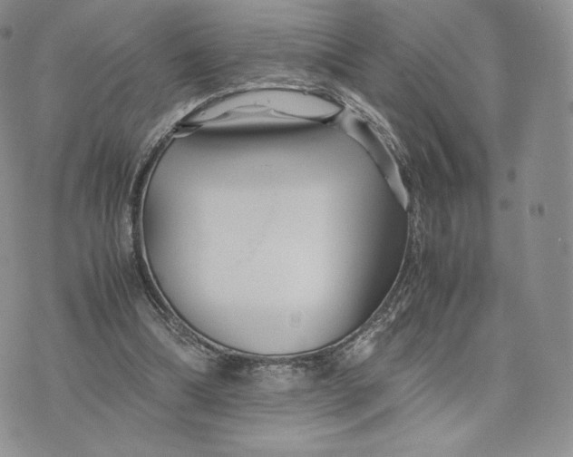 X0000075410298200609291713