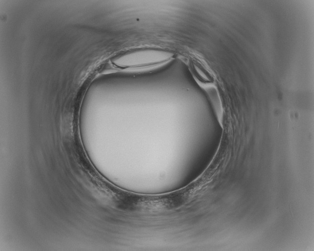 X0000075410299200609291713