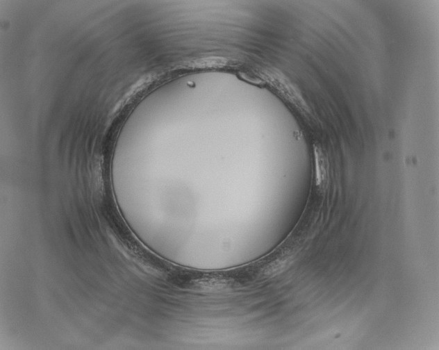 X0000075410300200609291713