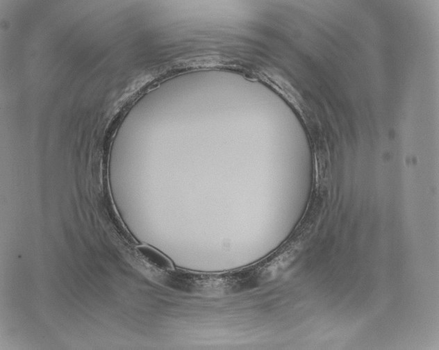 X0000075410301200609291713