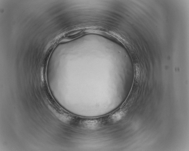 X0000075410302200609291713