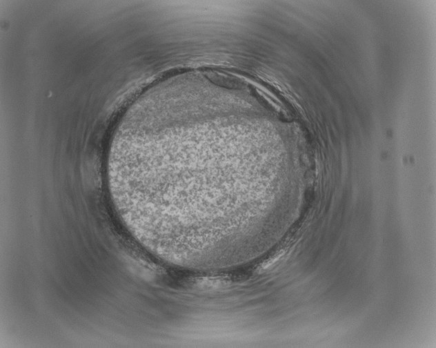 X0000075410303200609291713