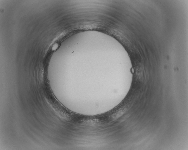 X0000075410304200609291713