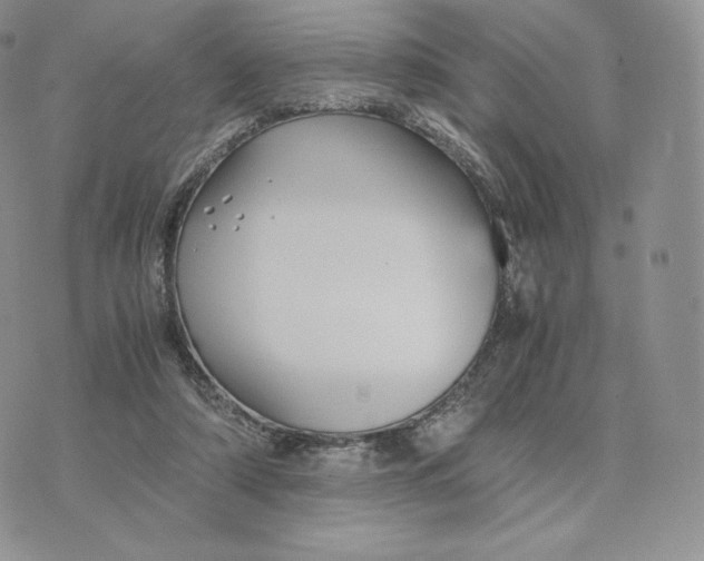 X0000075410306200609291713