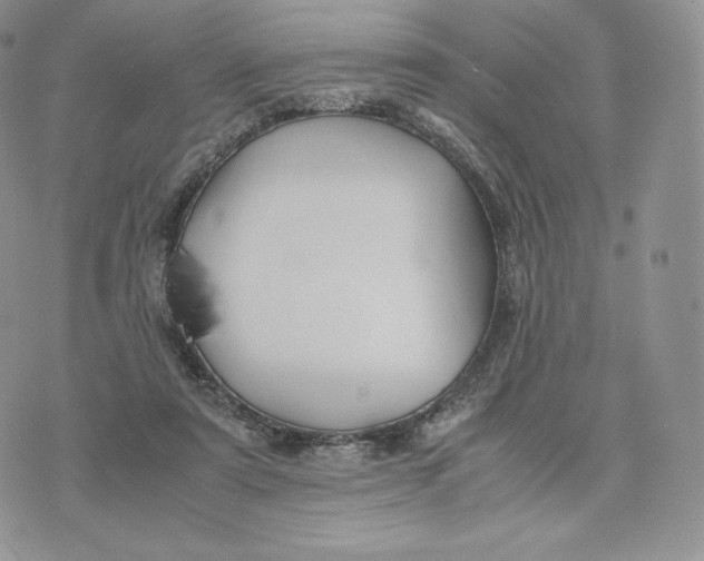 X0000075410307200609291713