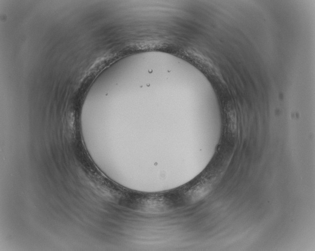 X0000075410308200609291713