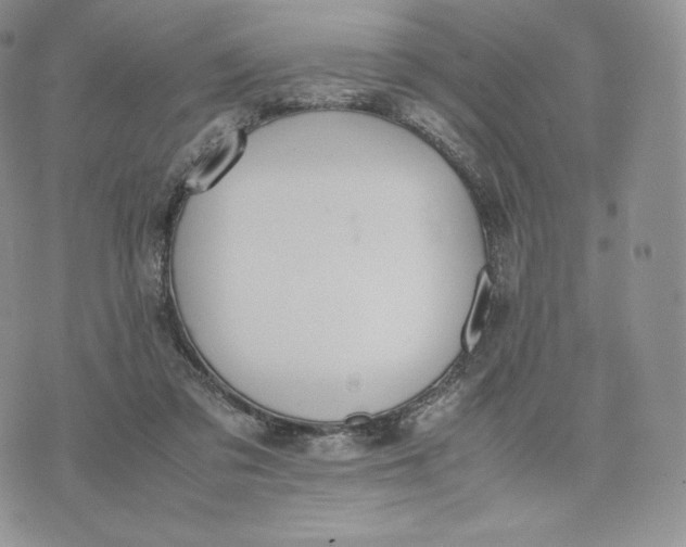 X0000075410309200609291713