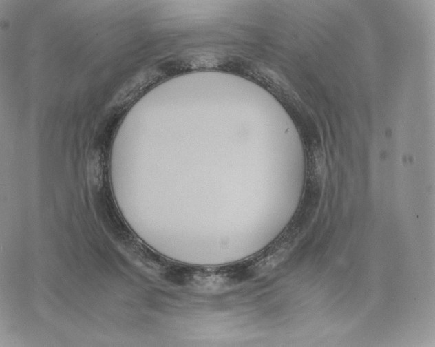 X0000075410311200609291713