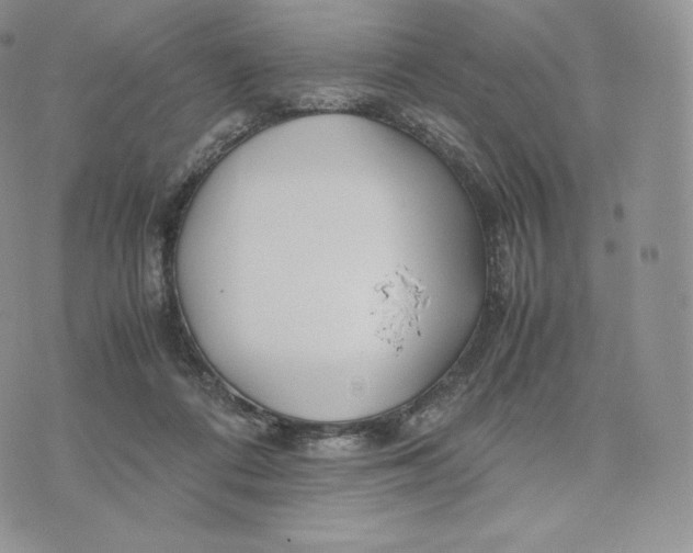 X0000075410312200609291713