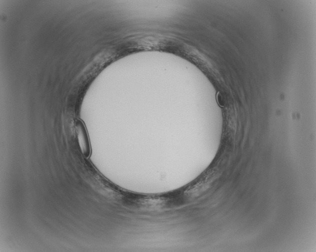 X0000075410313200609291713