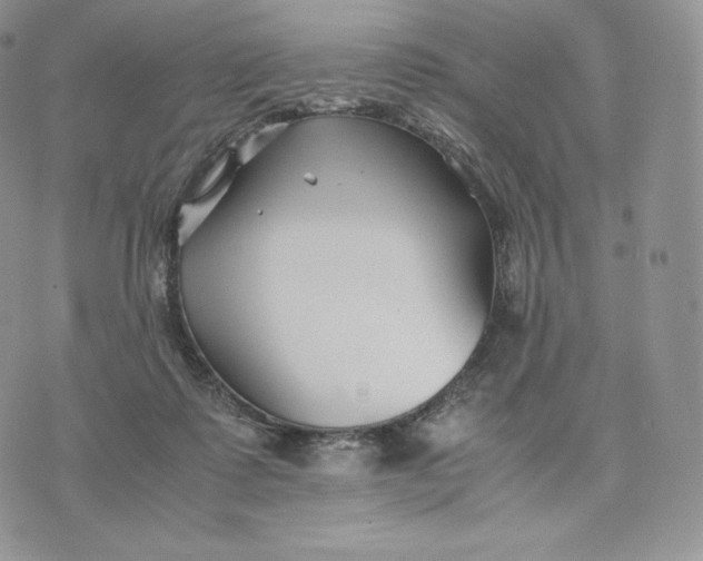 X0000075410315200609291713