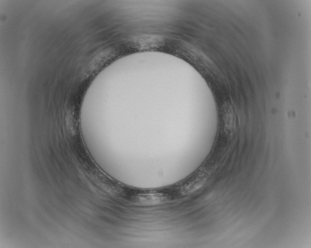 X0000075410316200609291713