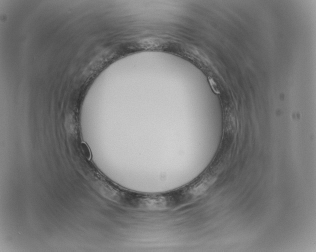 X0000075410317200609291713