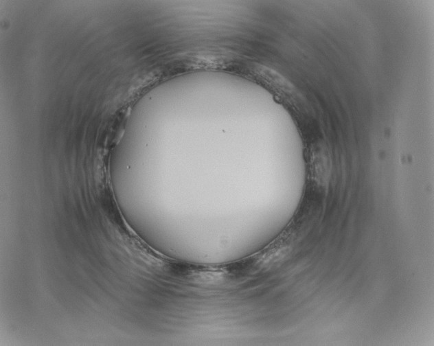 X0000075410318200609291713