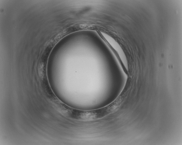 X0000075410319200609291713