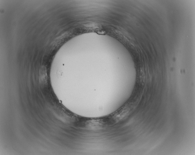 X0000075410320200609291713