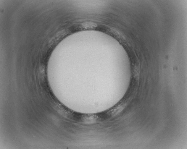 X0000075410321200609291713