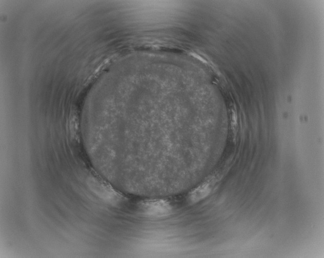 X0000075410322200609291713