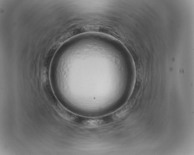 X0000075410323200609291713