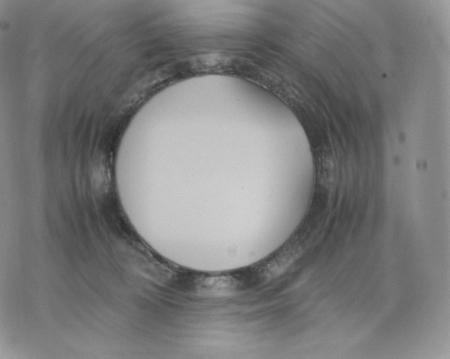 X0000075410324200609291713