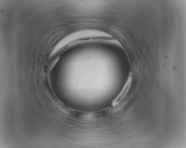 X0000075410325200609291713