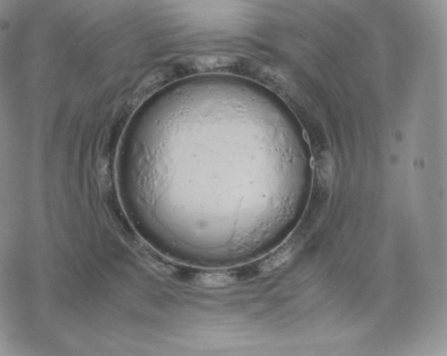 X0000075410327200609291713