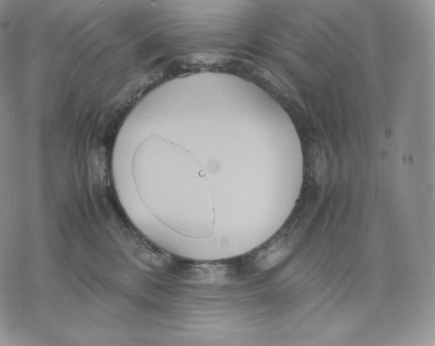 X0000075410328200609291713